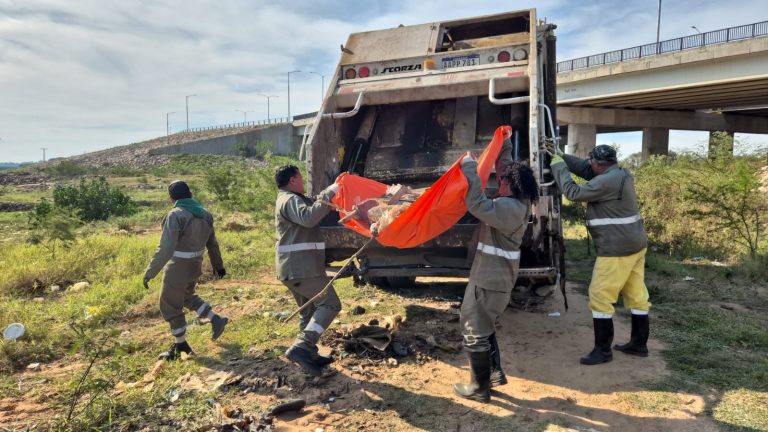 Limpieza Conjunta en la Costanera Sur se realizó entre la Municipalidad de Asunción y organizaciones de la sociedad civil por un ambiente más limpio