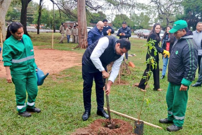 Funcionarios municipales y del Ministerio de Economía y Finanzas plantaron árboles nativos en el Parque Bernardino Caballero