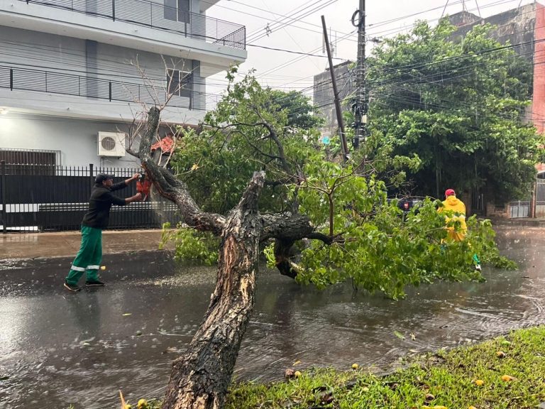 Dirección de Servicios Urbanos realiza intensos trabajos de limpieza y despeje de árboles caídos como producto de la última tormenta