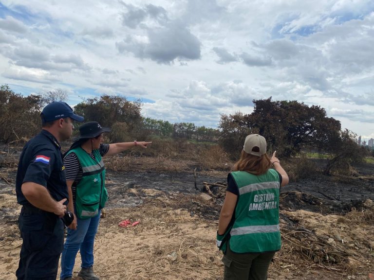 Municipalidad de Asunción solicita Declaración de Emergencia Ambiental para proteger Áreas Silvestres de la capital