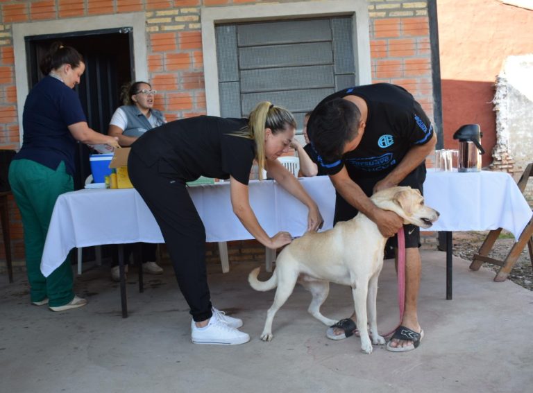 En el 2025 se intensificarán las jornadas de vacunación y atención a mascotas, en los 68 barrios de Asunción, a través de la Unidad de Prevención de Zoonosis